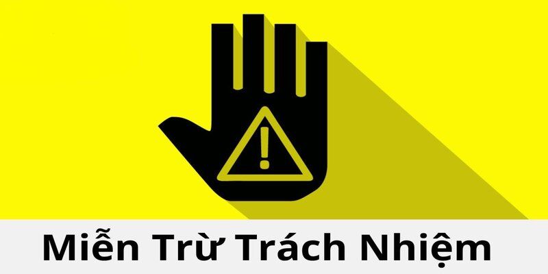 Bạn cần đọc kỹ và tìm hiểu về điều khoản miễn trừ