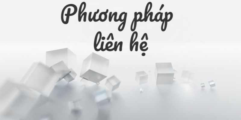 Đa dạng kênh liên hệ cho bạn lựa chọn